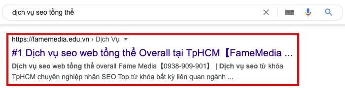 seo google tổng thể