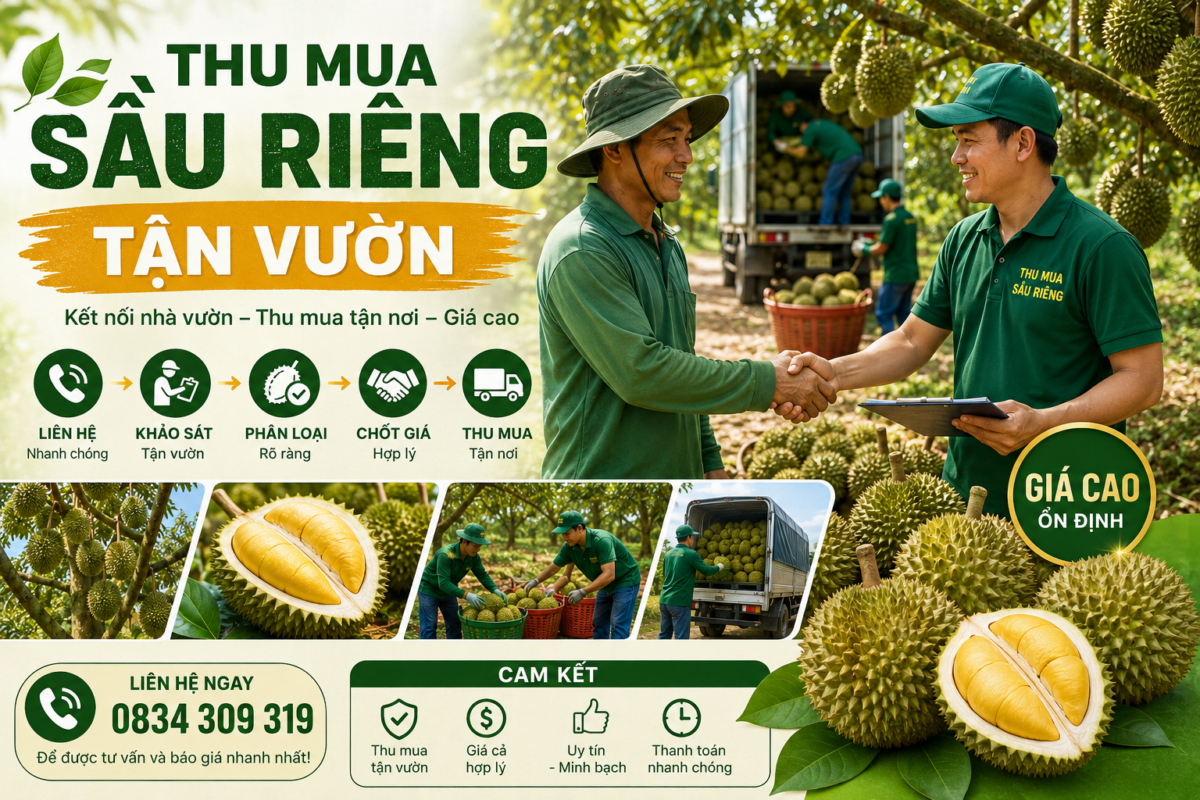 Giới thiệu Thumuasaurieng.com