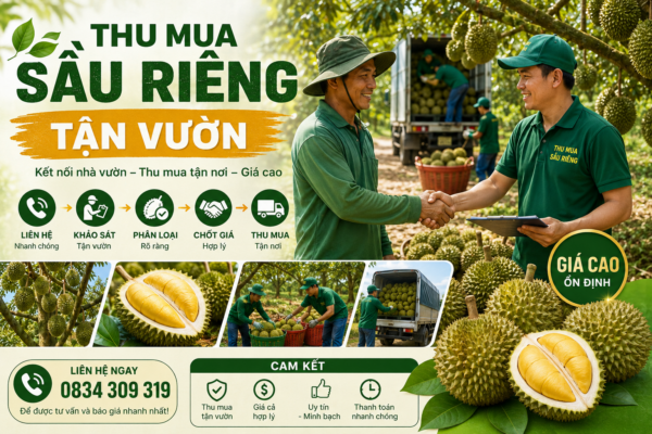 Giới thiệu Thumuasaurieng.com